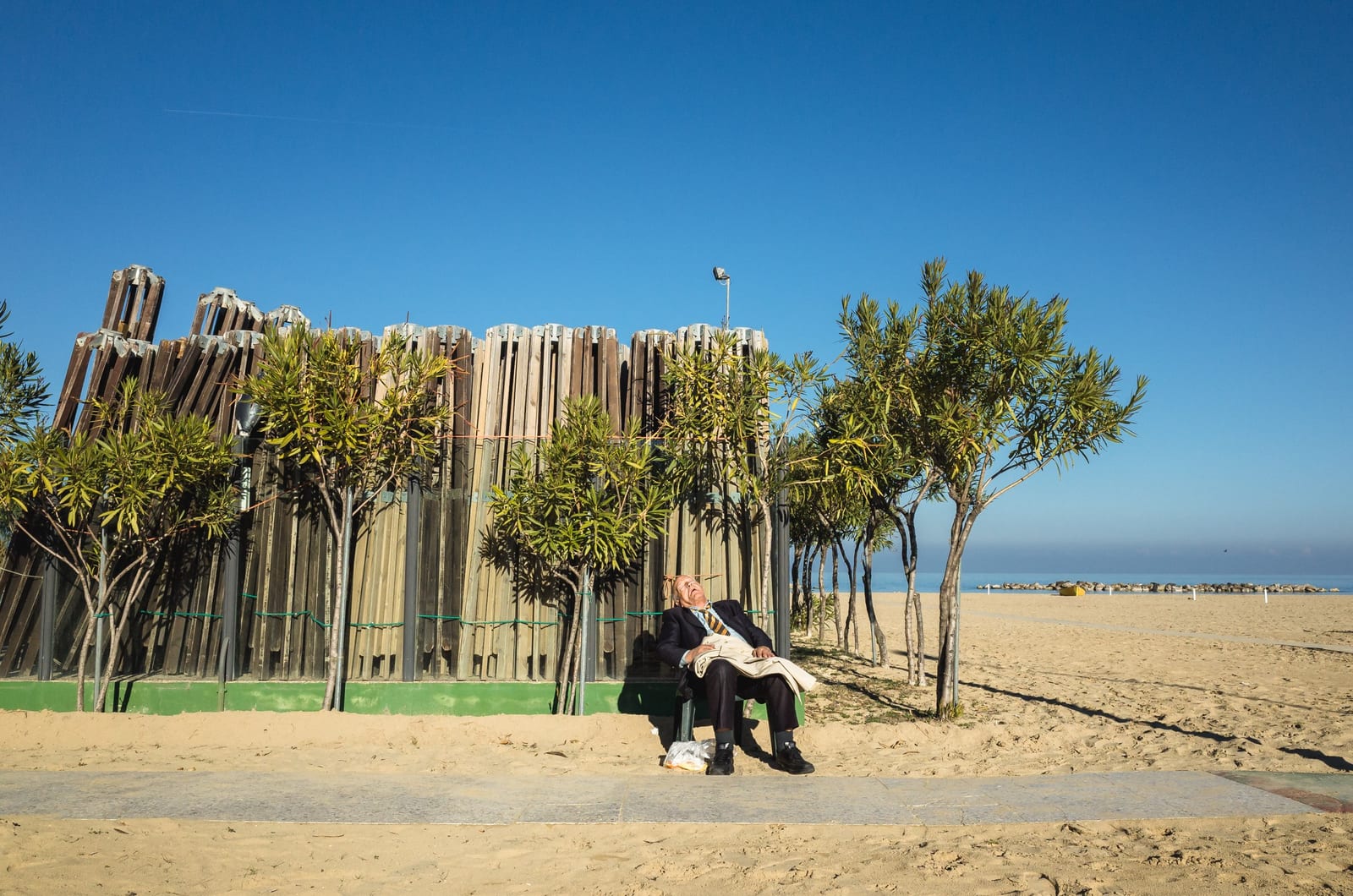 Photo by Davide Albani