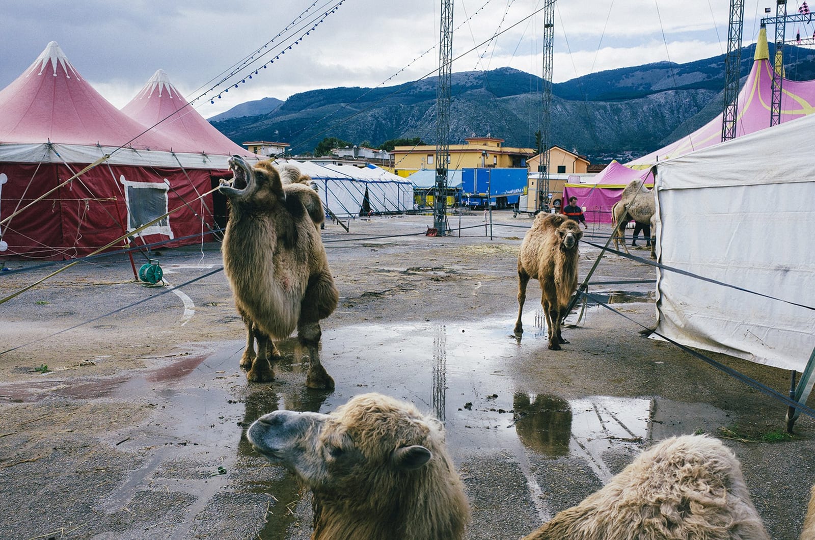 Photo by Giorgio Scalici