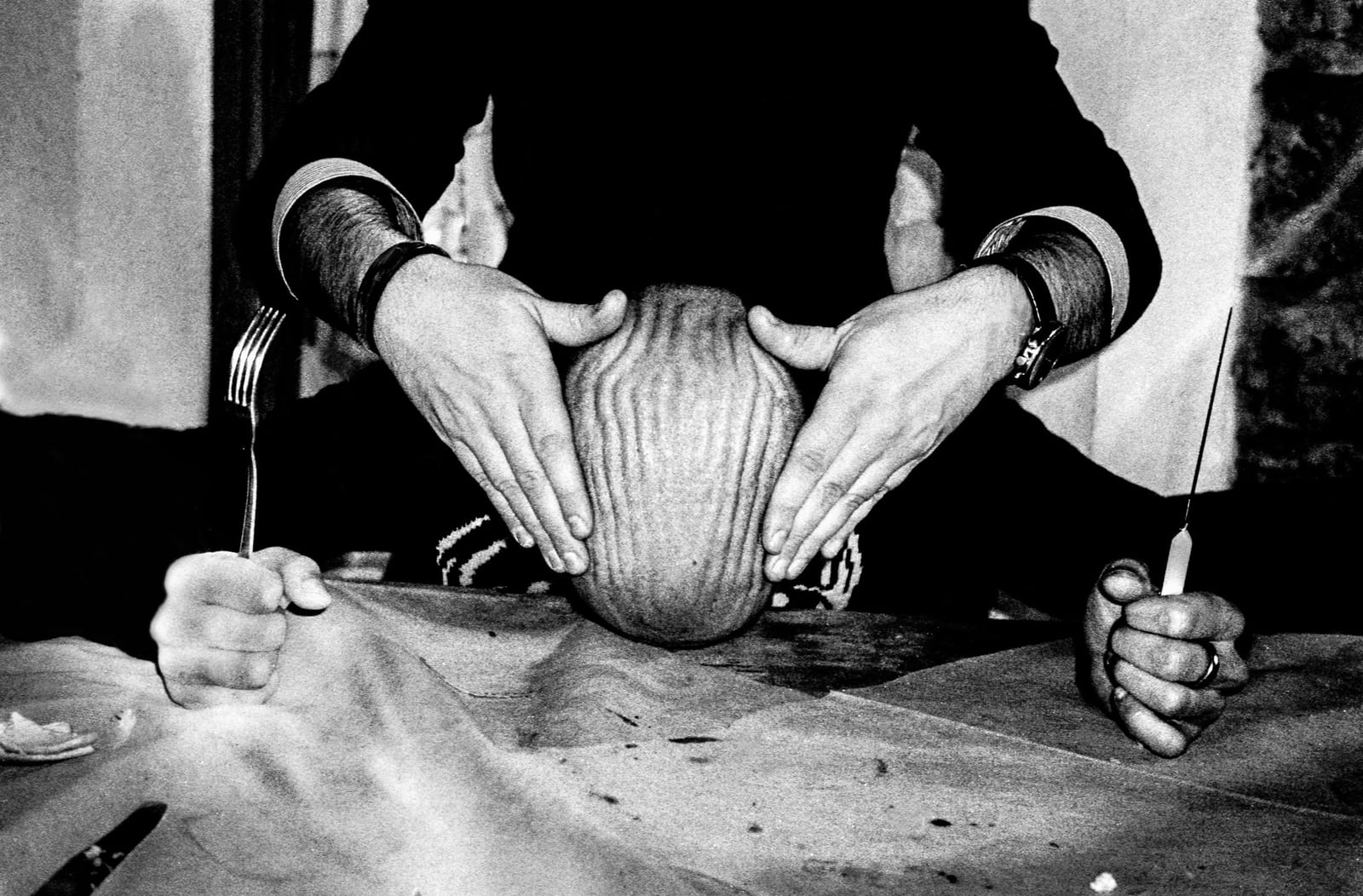 Photo by Matteo Zannoni