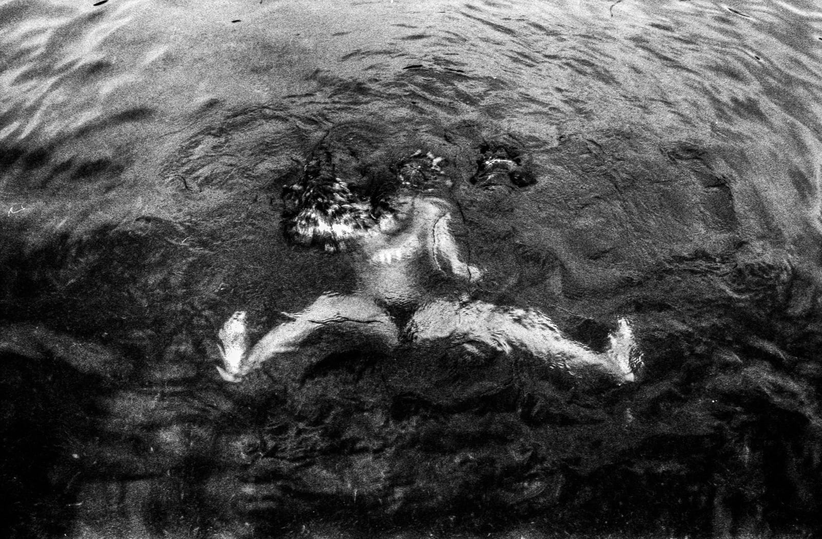 Photo by Matteo Zannoni