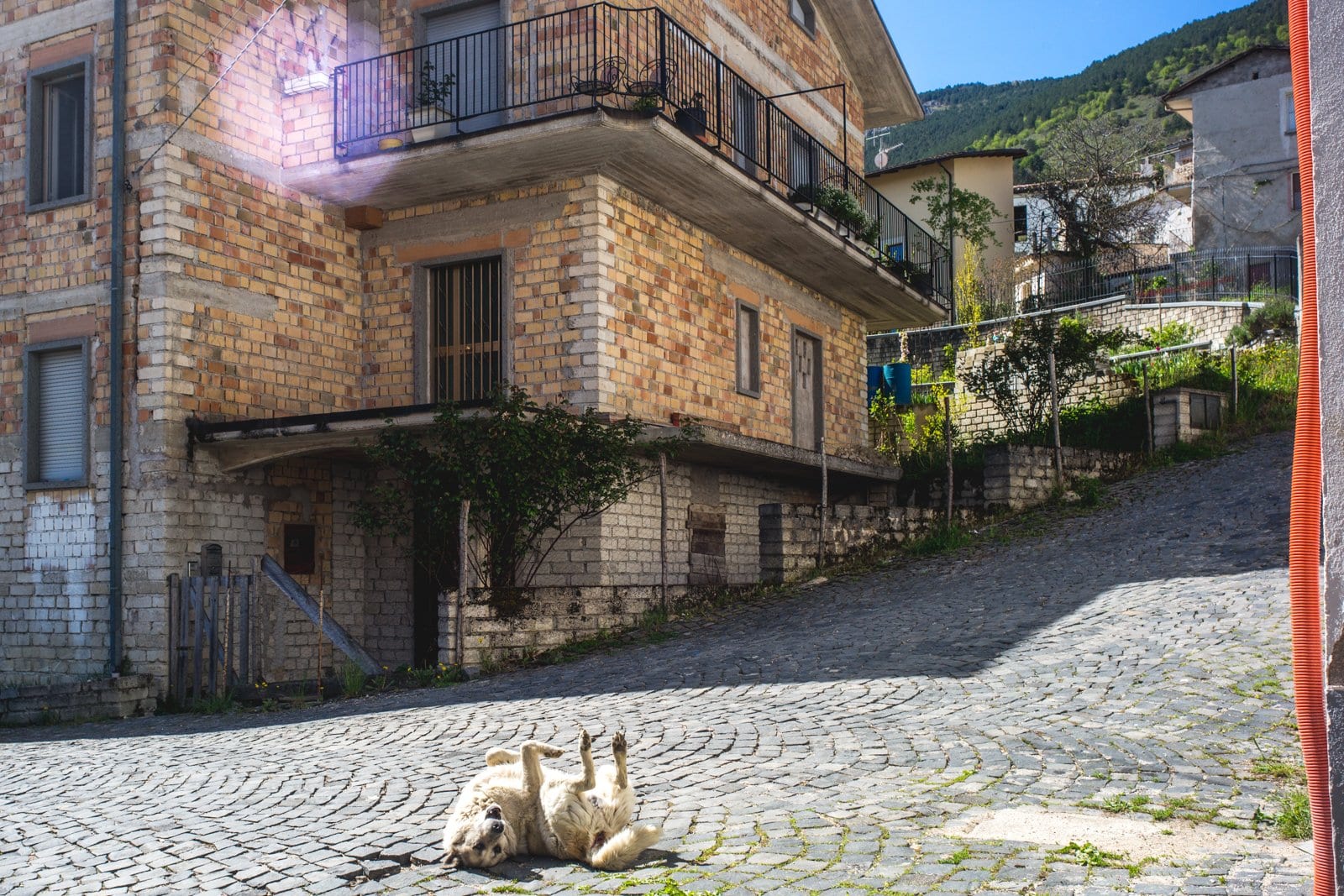 Terremoto — Davide Albani