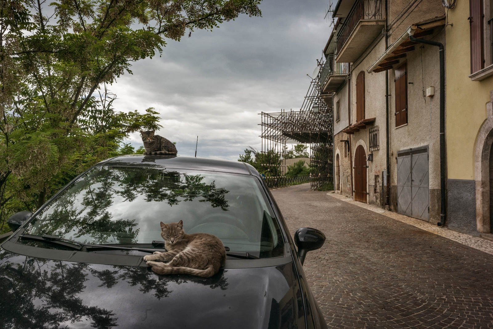 Terremoto — Riccardo Cattaneo